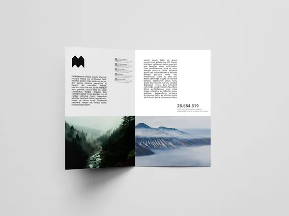 Service Item 3 Two fold leaflets 1